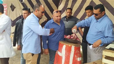 إعدام 110 منتج منتهي الصلاحية بحملة صحية بالإسماعيلية