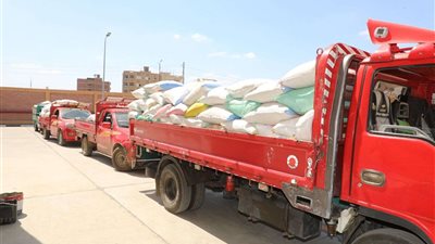 محافظ المنوفية يتابع ميدانياً بدء أعمال توريد محصول القمح