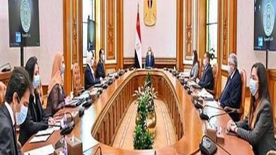 الرئيس السيسي يطلع على مخطط المشروع القومي لتنمية الأسرة المصرية