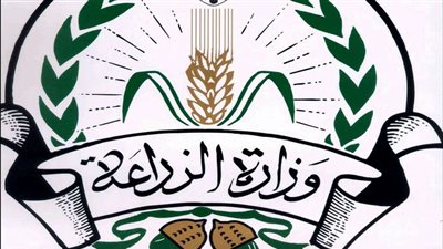 زراعة الفيوم تسعى للنهوض بمحصول القطن ومكافحة عمل الأطفال