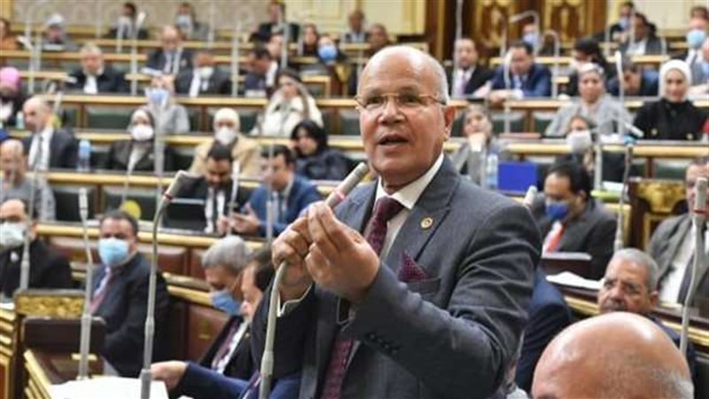 النائب سيد شمس