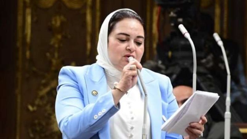 النائبة منى عمر