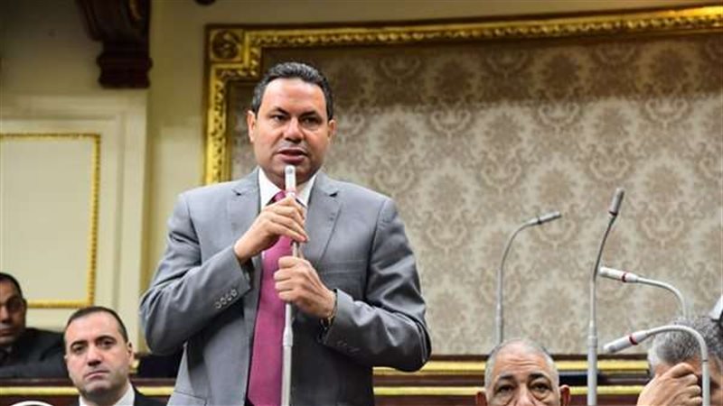 النائب هشام الحصري