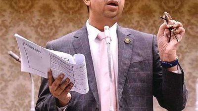 الشبراوى: مراكز علاج الإدمان غير المرخصة تودي بحياة المواطنين