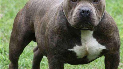 لوحة معدنية برقم لكل 