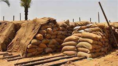 توريد 1462 طن من محصول القمح بالشون والصوامع الحكومية بالمنيا