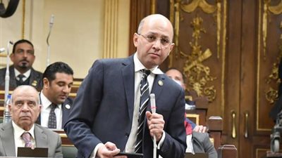 برلماني: توجيهات الرئيس السيسي برفع الموازنة تؤكد اهتمامه بمحدودي الدخل