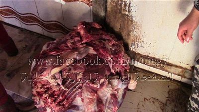 ضبط 10 قضايا بيع أعلاف 