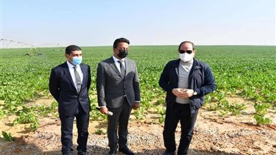 الرئيس السيسي يتفقد مشروع استصلاح 500 ألف فدان على محور الضبعة