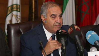 المحكمة الدستورية تؤيد حظر تحويل الوحدات السكنية إلى أنشطة تجارية