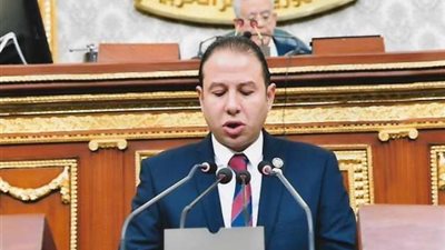 برلماني: قرار رفع موازنة الدعم ينتصر لمحدودي الدخل والبسطاء