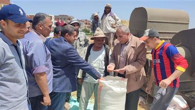 بدء موسم توريد القمح بصوامع وشون الغربية