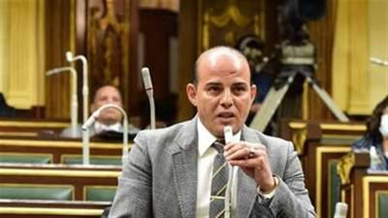 النائب عمرو القطامي
