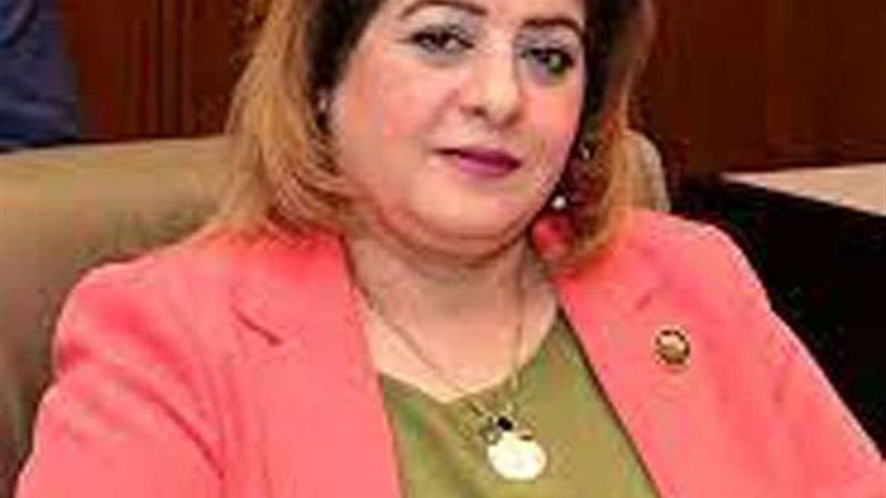 النائبة هناء أنيس