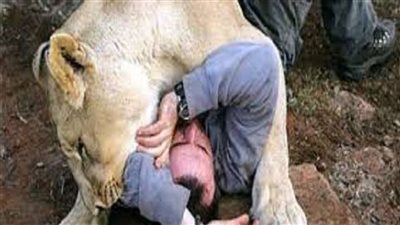 فنان شهير يطلب إطعام الأسود جثته عقب وفاته.. صورة