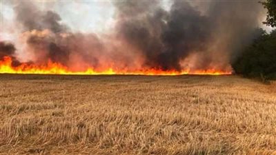 السيطرة على حريق داخل مزرعة قمح بالمنيا