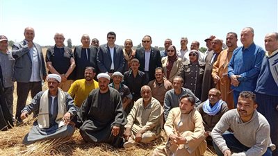 محافظ الشرقية يشهد حصاد وتوريد محصول القمح بقرية صفيته