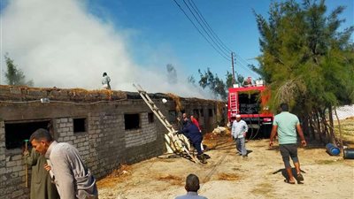 نشوب حريق في مزرعة دواجن بالإسماعيلية