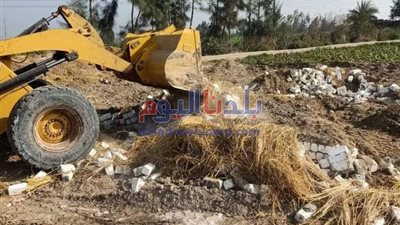 ازالة حالتي تعدي علي الأراضي الزراعية في حوش عيسي