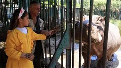 حديقة الحيوان بالجيزة استقبلت 450 ألف زائر  خلال عيد الفطر