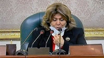 فريدة الشوباشي ترتدي ملابس بألوان علم مصر.. شاهد