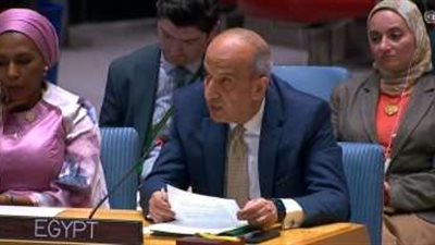 السفير أسامة عبد الخالق: مصر  تتضامن مع الشعب السوداني بأزمته الحالية