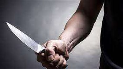 ضبط المتهم بطعن جارة بسكين في المنصورة