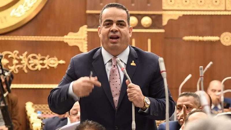 النائب عصام عفيفى