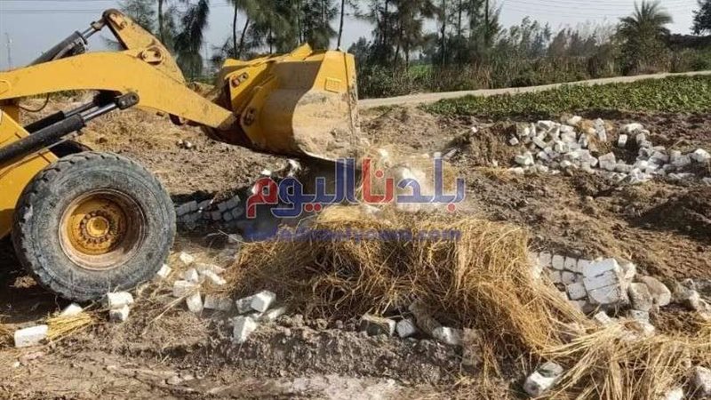 بلدنا اليوم