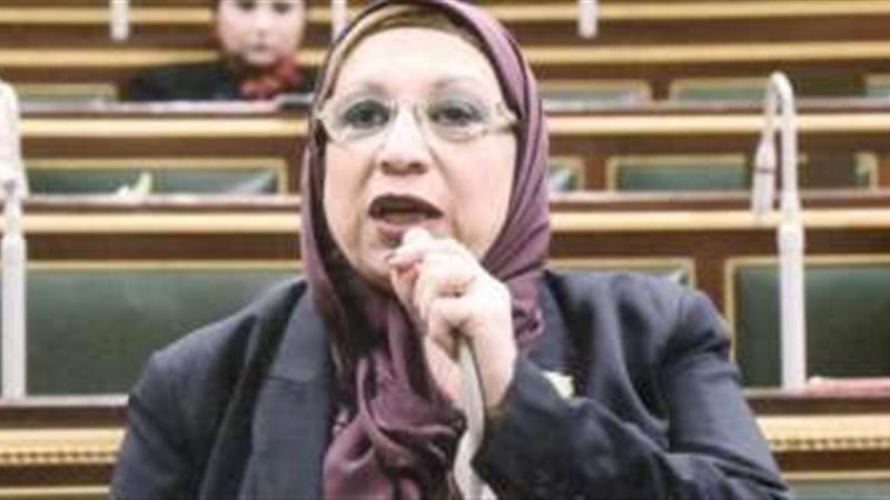 النائبة إيناس عبد