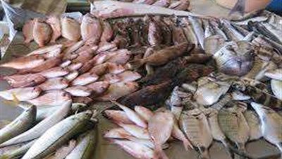 أسعار الأسماك اليوم الخميس 27-4-2023