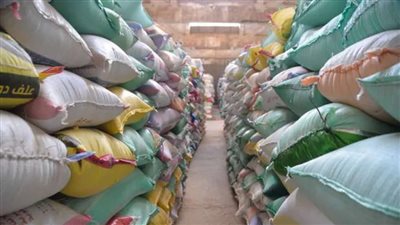 تموين المنيا: نستهدف تجميع 450 ألف طن قمح