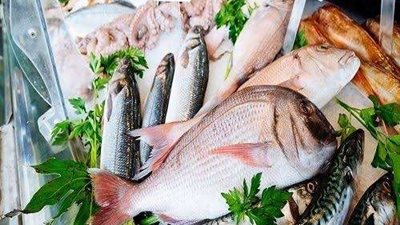 أسعار السمك اليوم الجمعة 28 - 4 - 2023