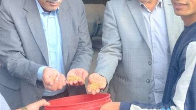 بالصور.. انتظام عملية توريد القمح بالغربية