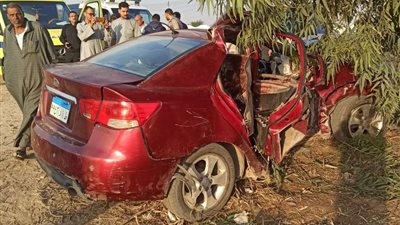وفاة شخص وإصابة 3 آخرين في حادث تصادم سيارة بشجرة بالإسماعيلية