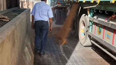 محافظ سوهاج: توريد 2401 طن قمح منذ بدء الموسم دون معوقات