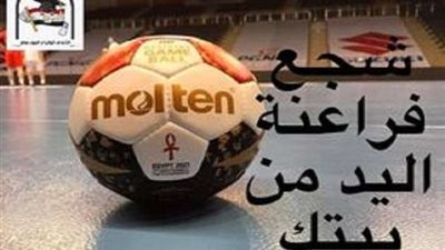 برلمانية: نجاح مصر في افتتاح بطوله العالم لليد ضربة للمنظمات المشبوهة