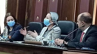 ياسمين فؤاد: لدينا تكليفات رئاسية بمواجهة تلوث الهواء في القاهرة الكبرى