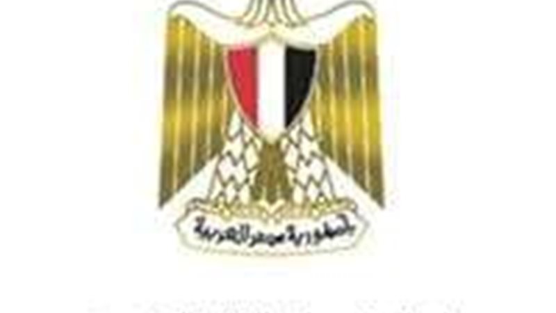 وزارة الكهرباء و
