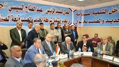 الحكومة تصدر بيان ردًا على ما يثار حول تصفية شركة 