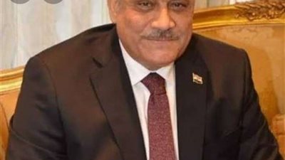 رغم الاعتذار.. محافظ الإسماعيلية: تطاول رئيس الحي على مواطنة لن يمر دون عقاب (فيديو)