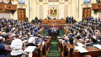 وكيل البرلمان يكشف سبب استدعاء المجلس للحكومة غدًا