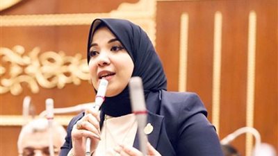 النائبة دينا هلالي: قرارات الرئيس تكتب شهادة نهوض للوطن بسواعد أبنائه
