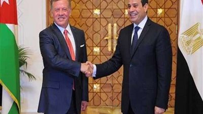 برلمانية: مصر والأردن توافقت رؤيتهما على إيجاد تسويات سياسية لأزمات المنطقة