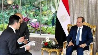 الرئيس السيسى: سياساتنا تقوم على رفض التدخل في شئون الدول