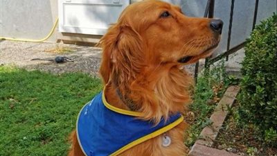 سجل ورقم لكل 