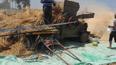 صوامع الشرقية تستقبل أطنان الخير من القمح.. تفاصيل