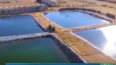 أبرز جهود قطاع الزراعة واستصلاح الأراضي في تعمير سيناء