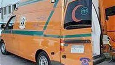 إصابة 7 أشخاص من أسرة واحدة إثر انقلاب سيارة بالوادي الجديد