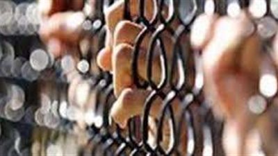 حبس 3 متهمين بتجارة المخدرات بالمطرية